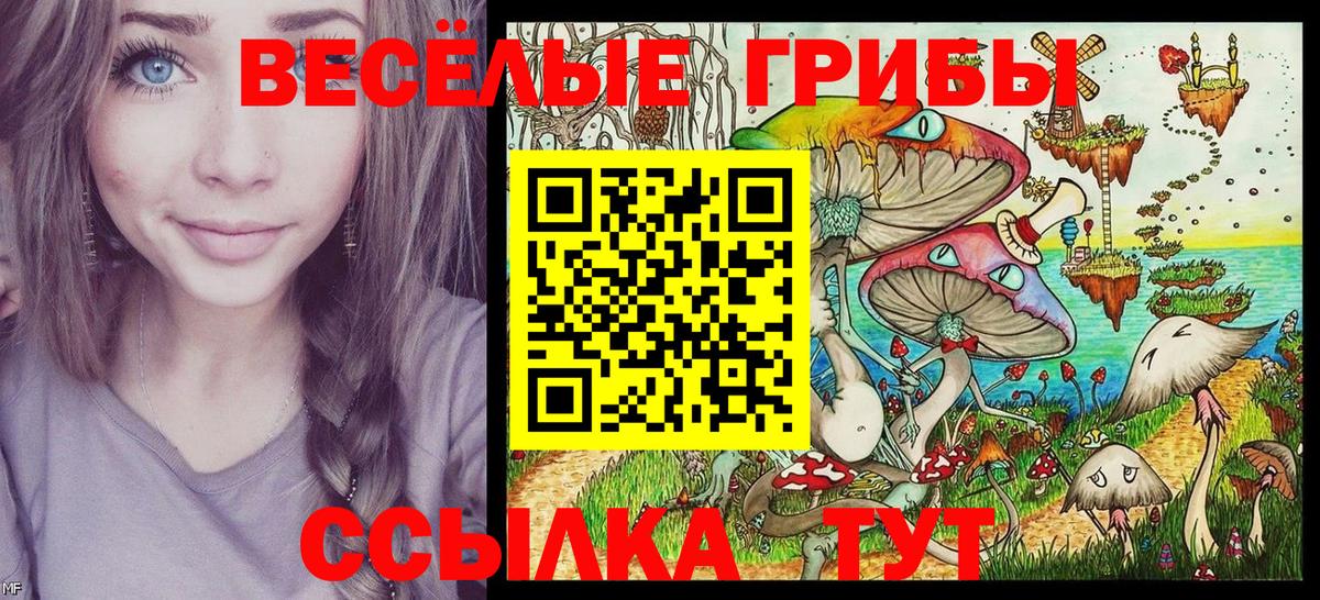 Морозовск  Галлюциногенные грибы MAGIC MUSHROOMS  Галлюциногенные грибы Psilocybine cubensis  Вход с VPN 